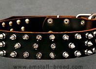 Spiked dog collars