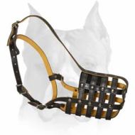 Lightro Leather Muzzle! For Amstaffs who like to breathe freely!