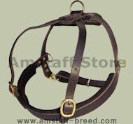Padded Pulling Harness for Amstaff-Leather Dog Harness