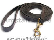 Tac-Black Leather Classic Agitation Leads for Amstaff