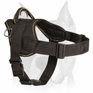 Amstaff Dog Nylon Harness for Pulling and Walking Amstaff Dog Nylon Harness for Pulling and Walking