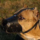 Amstaff Muzzles