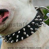 Amstaff Dog Collars