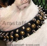 Leather spiked dog collar for Amstaff