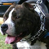 Pinch,Prong Collars,fur saver collars,herm sprenger collars