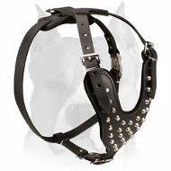 Amstaff Studded Leather Dog Harness with Pyramids Amstaff Studded Leather Dog Harness with Pyramids