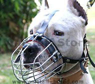American Staffordshire Terrier Wire Basket Dog Muzzles