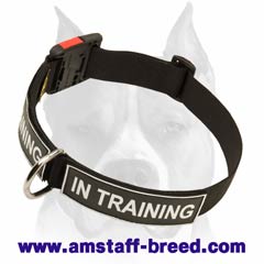 Amstaff strong and durable nylon dog collar with quick-release buckle