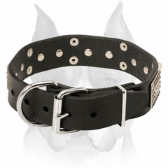 Amstaff pure leather dog collar with buckle and D-ring