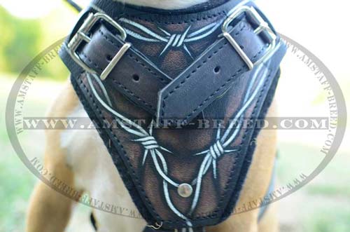 Top quality leather Amstaff painted dog harness