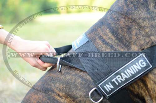 Nylon dog harness with id patches for Amstaff