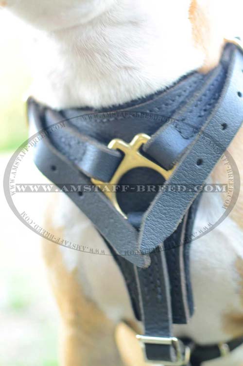 Front part of this leather harness