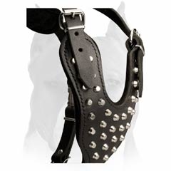 Stitched and padded front plate of the harness