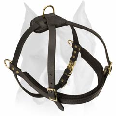 Leather harness for pulling