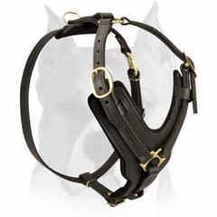 Durable leather dog harness for Amstaffs