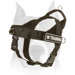 Durable multi-task harness for American Staffordshire