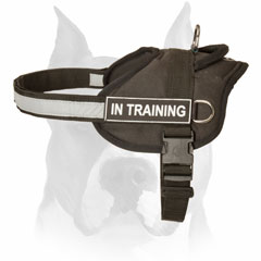 All-weather nylon harness for Amstaff