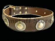 Leather Dog Collar with silver conchos