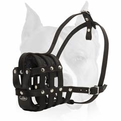 Leather muzzle for everyday usage