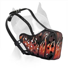 Extraordinary Dog Muzzle With Flame Painting