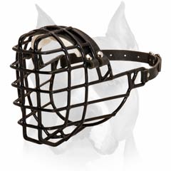 Buckled Wire Basket Muzzle For Amstaff