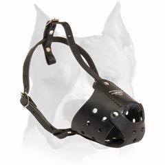 Amstaff Leather Buckled Muzzle