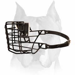 Wire Cage Buckled Muzzle