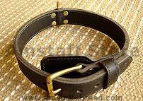 Two ply leather agitation dog collar Two ply leather agitation dog collar