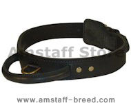 Leather Agitation Collars with Handle for Amstaff training Leather Agitation Collars with Handle for Amstaff training