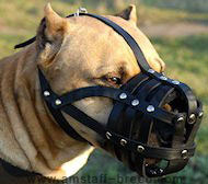 Everyday Light Weight Super Ventilation Amstaff muzzle Everyday Light Weight Super Ventilation Amstaff muzzle