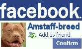 FACEBOOKE FACEBOOKE