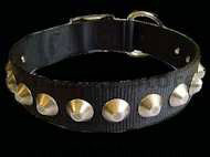 Nylon Dog Collar With Nickle Pyramids Nylon Dog Collar With Nickle Pyramids