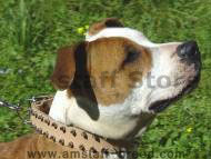 Leather Spiked Dog Collar