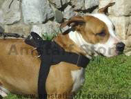 All Weather dog harness for tracking/pulling-harness with handle All Weather dog harness for tracking/pulling-harness with handle
