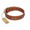 "Silver Necklace" Incredible FDT Artisan Tan Leather Amstaff Colar with Silver-Like Adornments