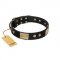 "Antique Gloss" FDT Artisan Black Leather Amstaff Collar with Bronze-like Plates and Small Studs