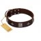 "Cold Star" Designer FDT Artisan Brown Leather Amstaff Collar with Silver-Like Adornments