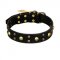 "Heavy Metal" Leather Amstaff Collar with Skulls and Studs 1 1/2 inch (40 mm)