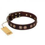 "Woofy Art" FDT Artisan Brown Leather Amstaff Collar Adorned with Old Bronze-like Studs