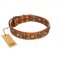 "Golden Epoch" FDT Artisan Tan Leather Amstaff Collar with Old Bronze-plated Medallions and Conchos