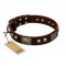 "Magic Amulet" Brown Leather Amstaff Collar with Skulls and Plates