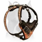 Agitation / Attack Leather Harness for Amstaff