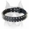 Gorgeous Design Leather Dog Collar With 2 Rows of Nickel Spikes for Amstaff