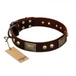 "Magic Amulet" Brown Leather Amstaff Collar with Skulls and Plates