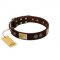 "Bow-Wow Effect" FDT Artisan Brown Leather Amstaff Collar with Plates and Ornate Studs