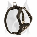 Amstaff Quality Spiked Chest Leather Dog Harness for Puppies