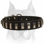 Fashionable Amstaff Leather Dog Collar Designed with Shiny Nickel Plates