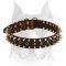 Amstaff Leather Dog Collar with Spikes and Studs