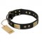 "Spanish night" FDT Artisan Fashionable Leather Walking Amstaff Collar