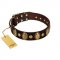 "Retro Pusle" FDT Artisan Brown Leather Amstaff Collar with Old Bronze-like Studs and Oval Brooches
